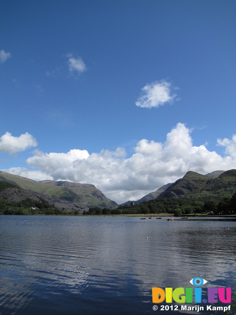 SX23490 Tower poking behind trees by Llyn Padarn by Llandberis